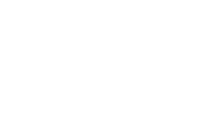 Budwiser-Logo